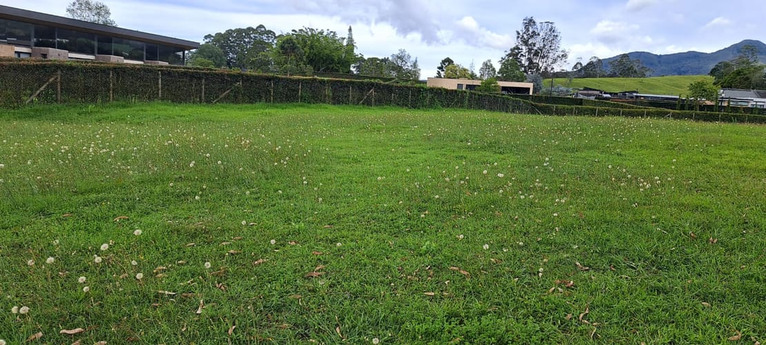 Lote en venta en El Carmen de Viboral, 2958 m² · foto 13 de 17