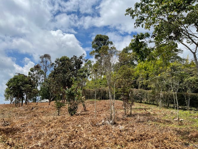 Lote en venta en Aeropuerto, Rionegro, 5500 m² · foto 17 de 18