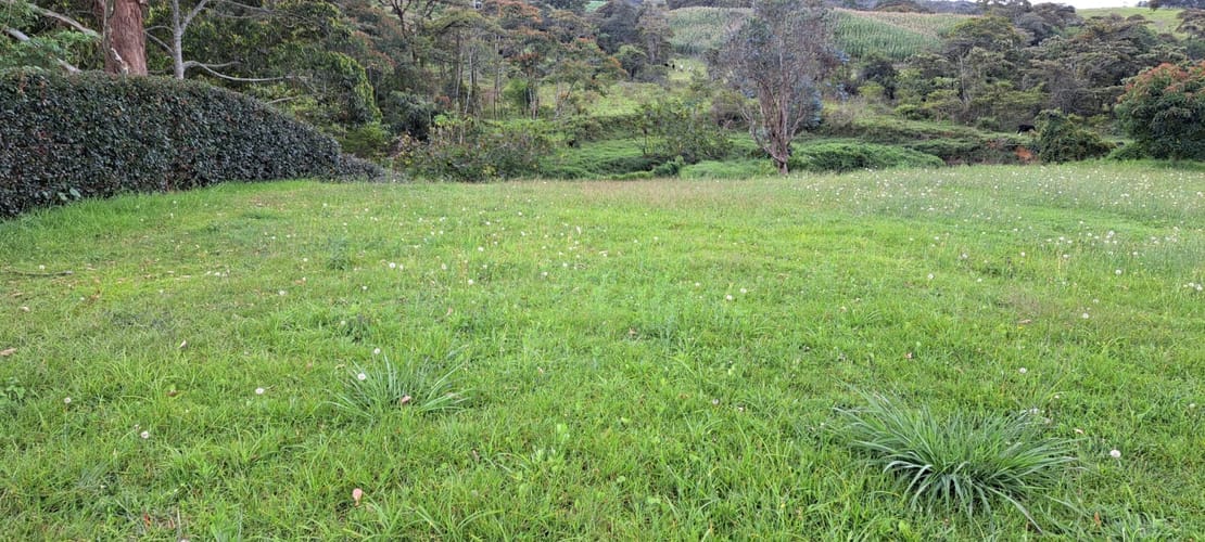 Lote en venta en El Carmen de Viboral, 2958 m² · foto 15 de 17