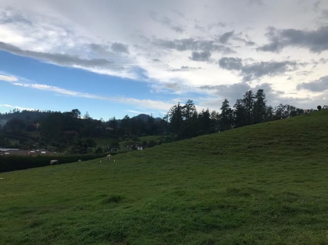 Lote en venta en Los Salados, El Retiro, 9441 m² · foto 13 de 16