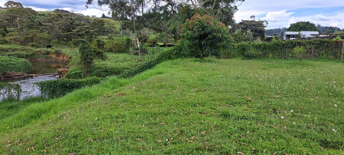Lote en venta en El Carmen de Viboral, 2958 m² · foto 16 de 17
