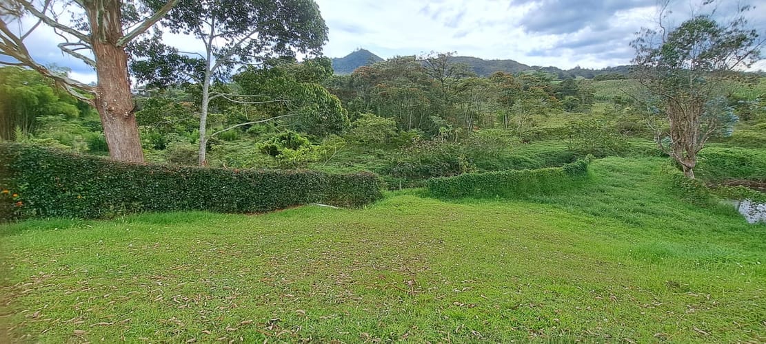 Lote en venta en El Carmen de Viboral, 2958 m² · foto 17 de 17