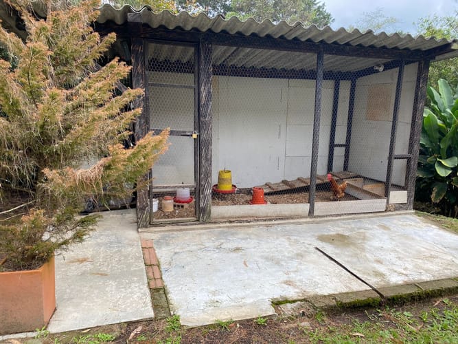 Finca en venta en Pontezuela, Rionegro, 5400 m² · foto 21 de 24
