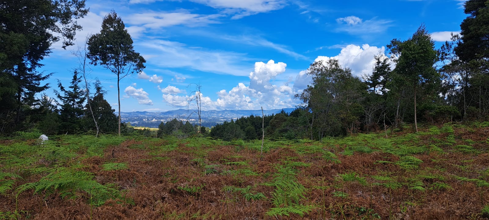 Bilde 3 av eiendommen som annonseres i Medellín