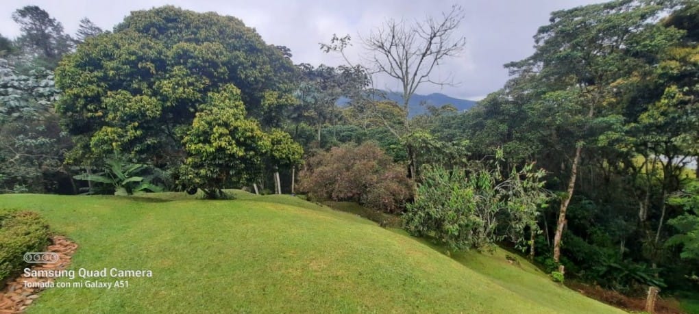 Casa de 10 alcobas en venta en Guayabito, Rionegro · foto 8 de 18