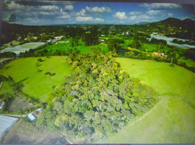 Lote en venta en La Ceja, 1210 m² · foto 6 de 9