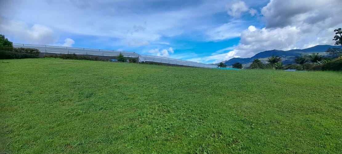 Lote en venta en Guamito, La Ceja, 2598 m² · foto 2 de 21