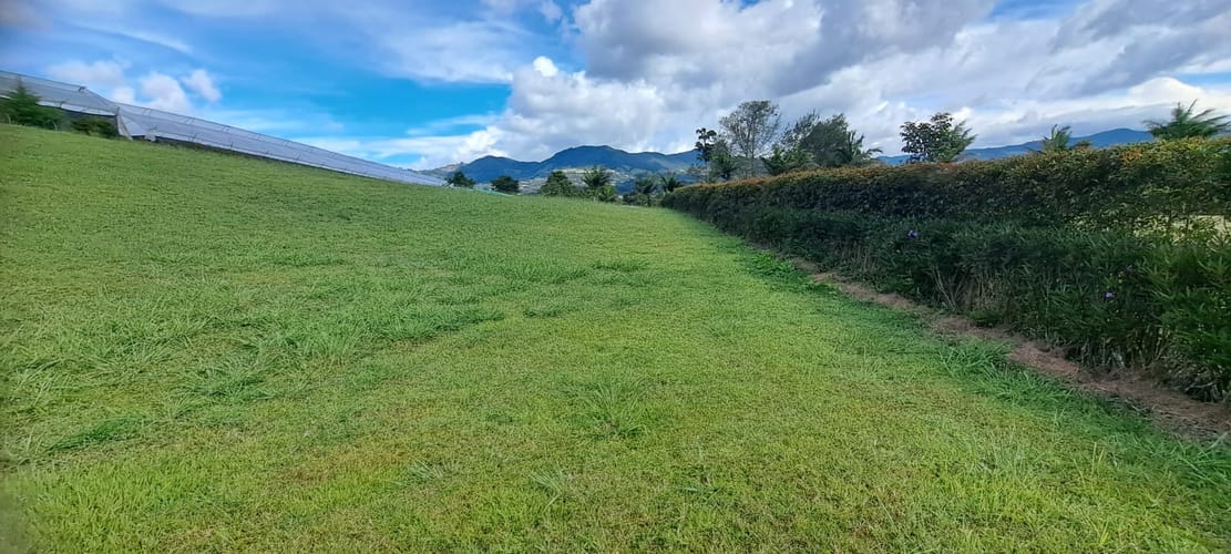 Lote en venta en Guamito, La Ceja, 2598 m² · foto 6 de 21
