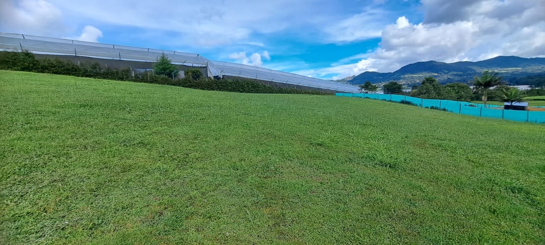 Lote en venta en Guamito, La Ceja, 2598 m² · foto 8 de 21