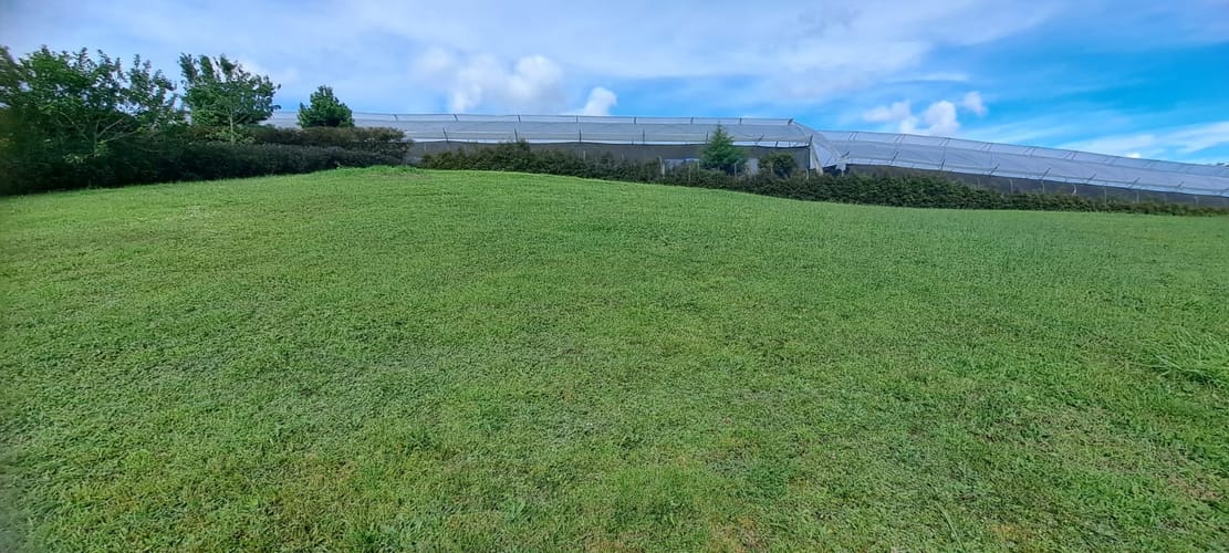 Lote en venta en Guamito, La Ceja, 2598 m² · foto 9 de 21