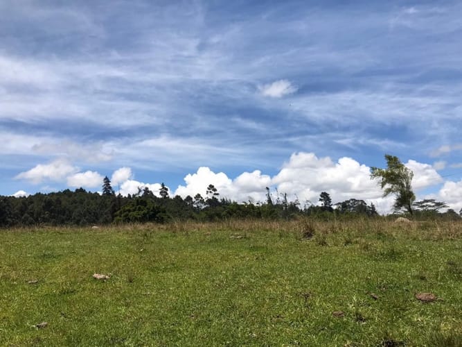 Lote en venta en Cuatro Esquinas, Rionegro, 21937 m² · foto 2 de 18