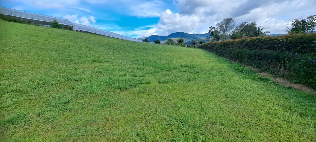 Lote en venta en Guamito, La Ceja, 2598 m² · foto 10 de 21