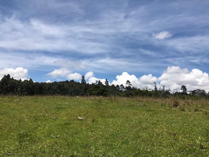 Lote en venta en Cuatro Esquinas, Rionegro, 21937 m² · foto 3 de 18