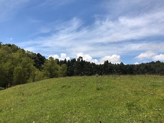 Lote en venta en Cuatro Esquinas, Rionegro, 21937 m² · foto 4 de 18