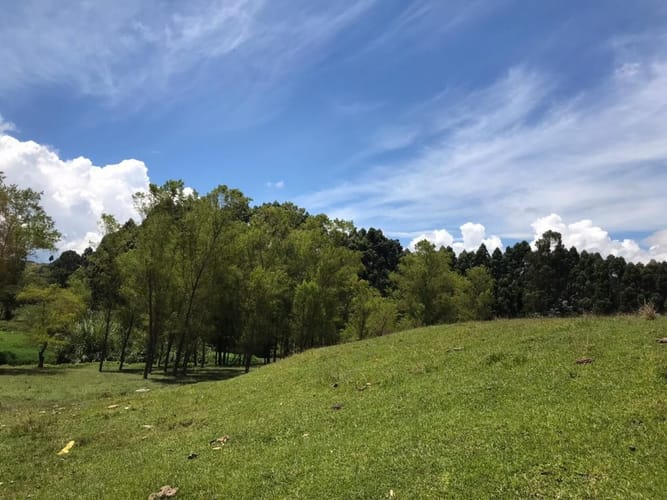Lote en venta en Cuatro Esquinas, Rionegro, 21937 m² · foto 6 de 18