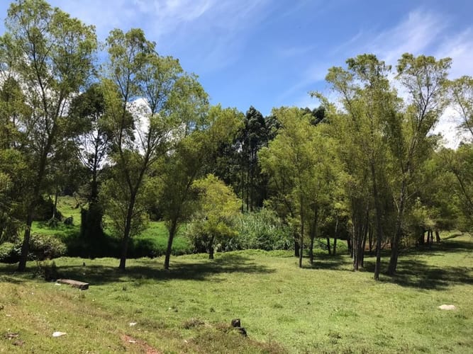 Lote en venta en Cuatro Esquinas, Rionegro, 21937 m² · foto 14 de 18