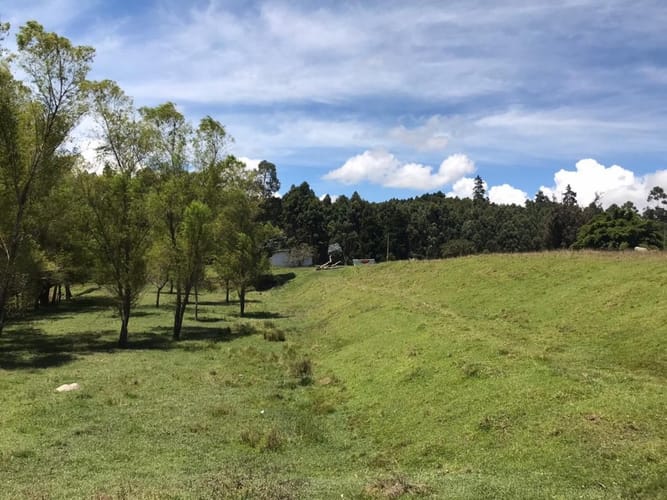 Lote en venta en Cuatro Esquinas, Rionegro, 21937 m² · foto 15 de 18