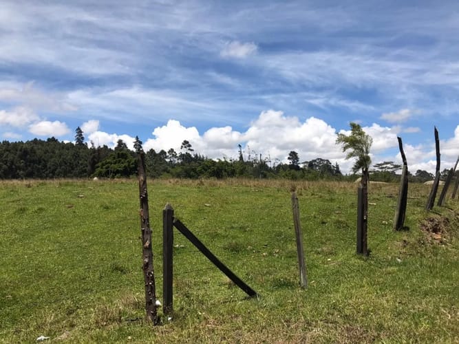 Lote en venta en Cuatro Esquinas, Rionegro, 21937 m² · foto 16 de 18