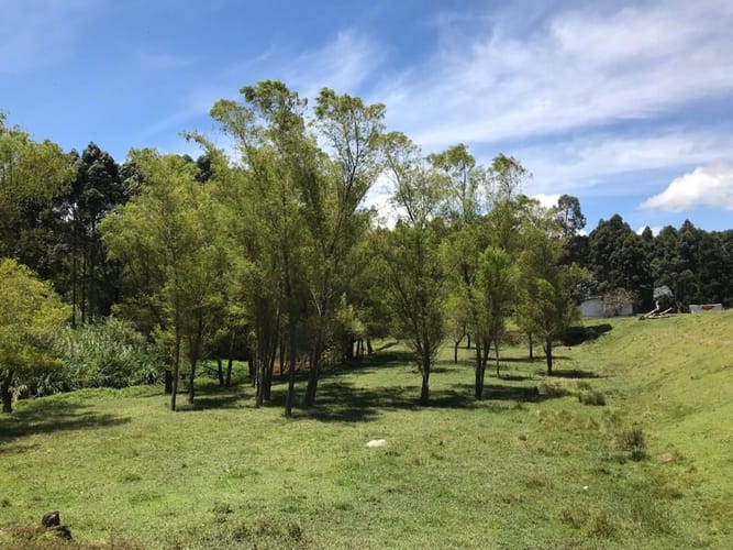 Lote en venta en Cuatro Esquinas, Rionegro, 21937 m² · foto 18 de 18