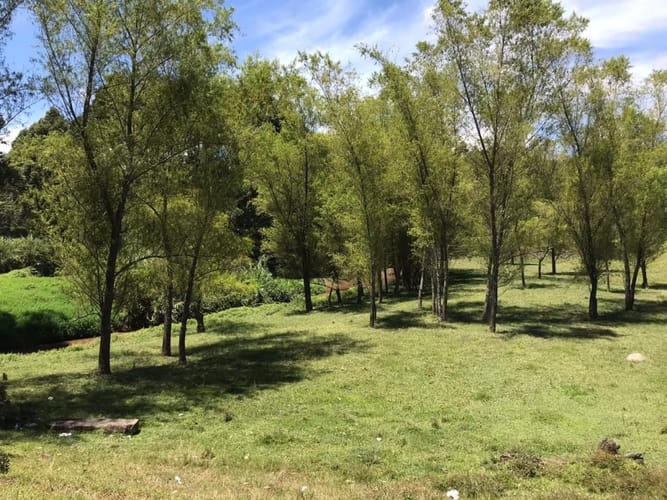 Lote en venta en Cimarronas, Rionegro, 33633 m² · foto 12 de 18