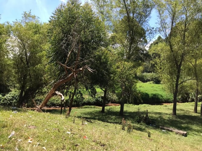 Lote en venta en Cimarronas, Rionegro, 33633 m² · foto 16 de 18