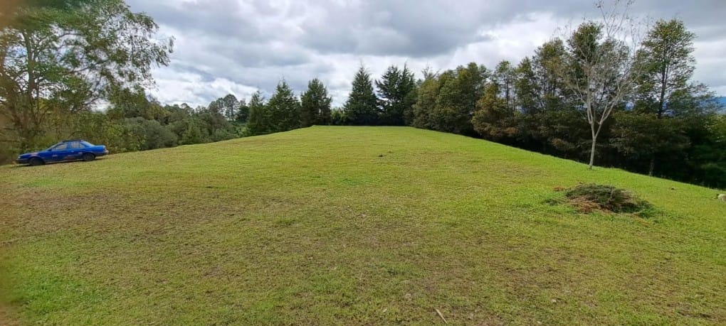 Lote en venta en El Tablazo, Rionegro, 9900 m² · foto 2 de 13