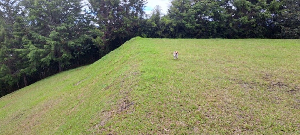 Lote en venta en El Tablazo, Rionegro, 9900 m² · foto 4 de 13