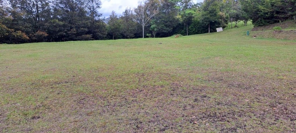 Lote en venta en El Tablazo, Rionegro, 9900 m² · foto 5 de 13