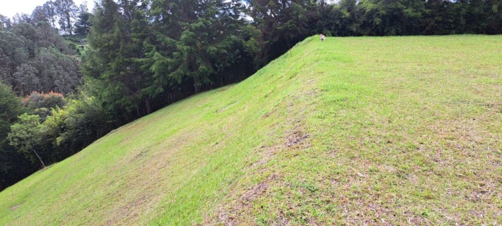 Lote en venta en El Tablazo, Rionegro, 9900 m² · foto 6 de 13