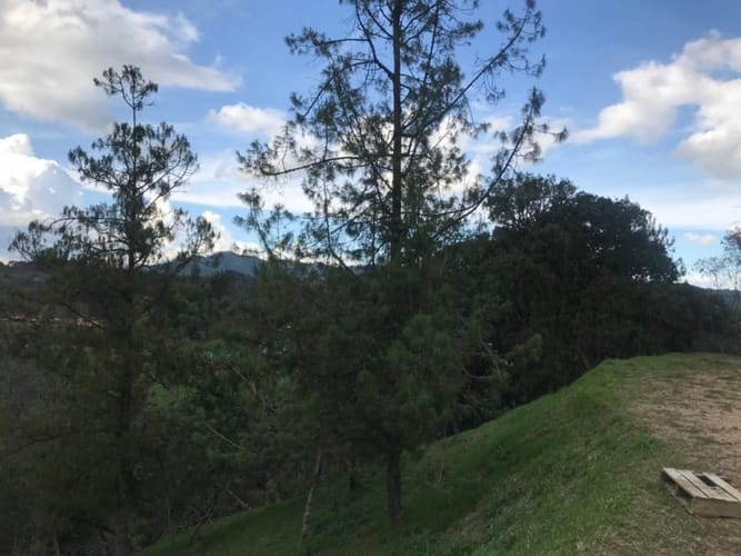 Lote en venta en Pantanillo, El Retiro, 2435 m² · foto 6 de 14