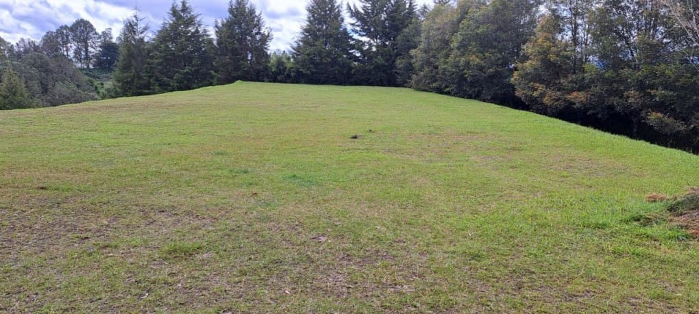 Lote en venta en El Tablazo, Rionegro, 9900 m² · foto 7 de 13