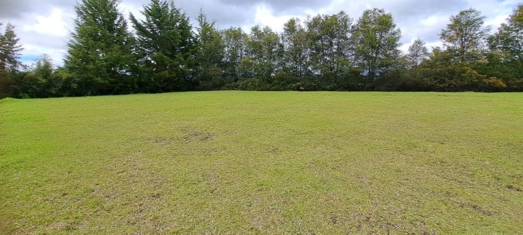 Lote en venta en El Tablazo, Rionegro, 9900 m² · foto 8 de 13