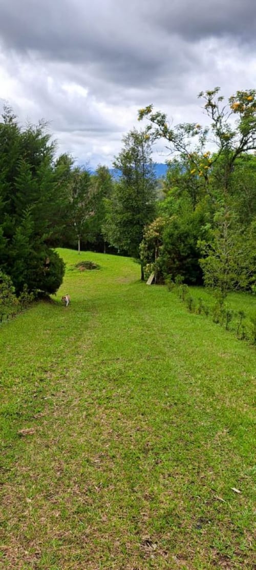 Lote en venta en El Tablazo, Rionegro, 9900 m² · foto 9 de 13
