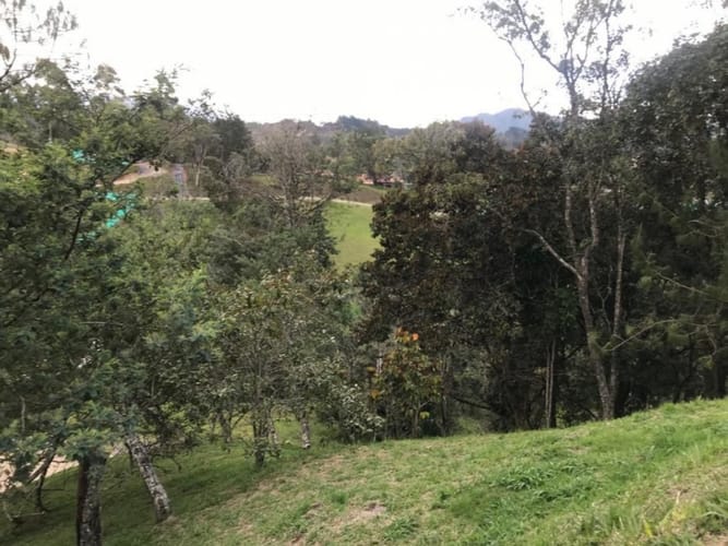 Lote en venta en Pantanillo, El Retiro, 2435 m² · foto 10 de 14