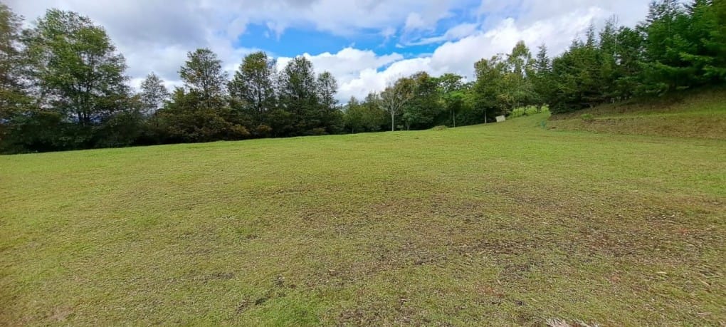Lote en venta en El Tablazo, Rionegro, 9900 m² · foto 11 de 13