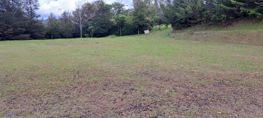 Lote en venta en El Tablazo, Rionegro, 9900 m² · foto 12 de 13