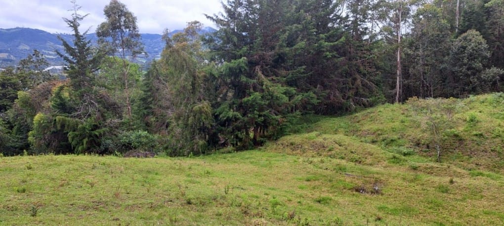 Lote en venta en Santa Elena, El Retiro, 10000 m² · foto 2 de 16