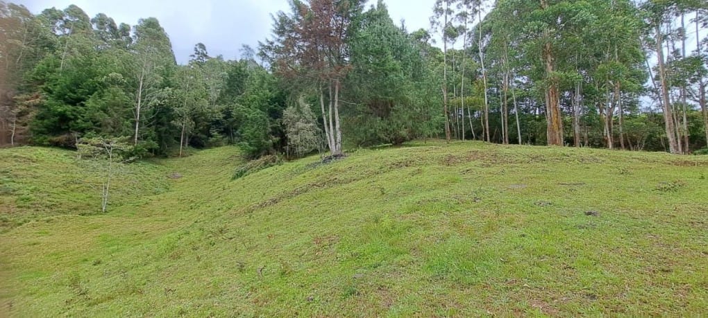 Lote en venta en Santa Elena, El Retiro, 10000 m² · foto 3 de 16
