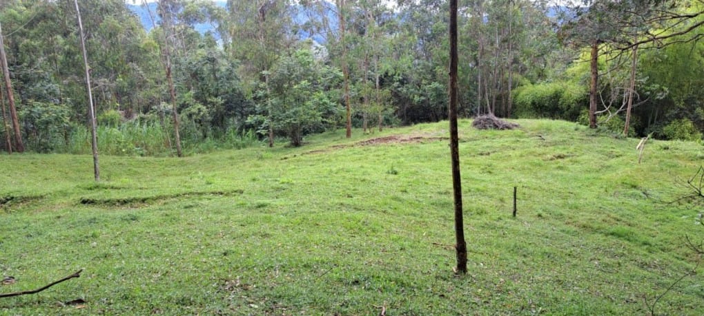 Lote en venta en Santa Elena, El Retiro, 10000 m² · foto 4 de 16