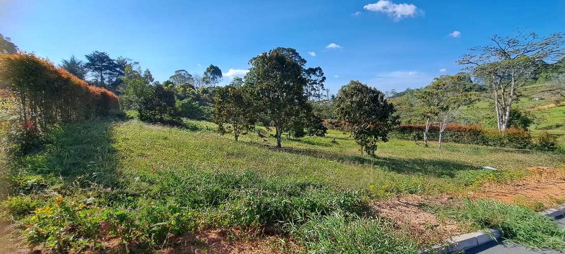 Lote en venta en El Salado, El Carmen de Viboral, 2101 m² · foto 8 de 17
