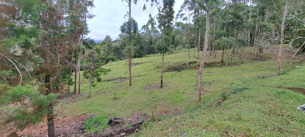 Lote en venta en Santa Elena, El Retiro, 10000 m² · foto 7 de 16