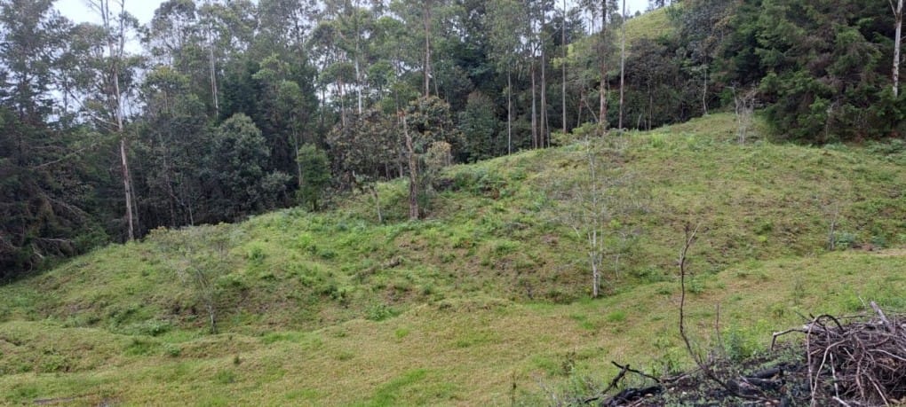 Lote en venta en Santa Elena, El Retiro, 10000 m² · foto 9 de 16