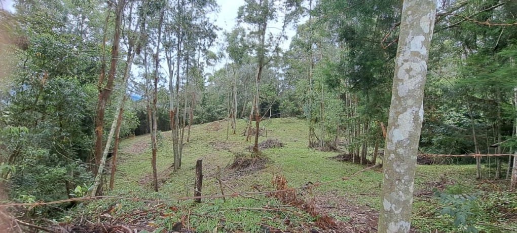 Lote en venta en Santa Elena, El Retiro, 10000 m² · foto 10 de 16
