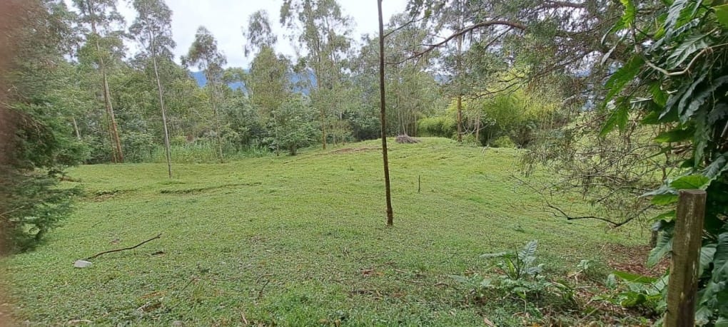 Lote en venta en Santa Elena, El Retiro, 10000 m² · foto 11 de 16