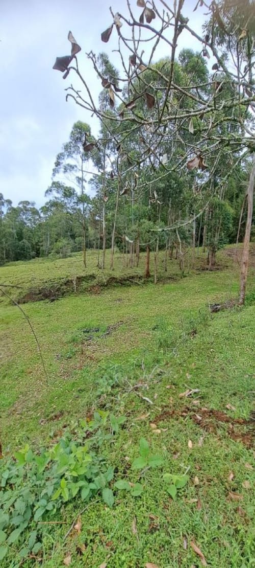 Lote en venta en Santa Elena, El Retiro, 10000 m² · foto 12 de 16