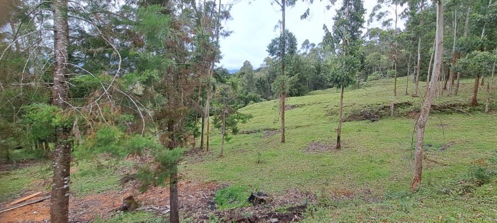 Lote en venta en Santa Elena, El Retiro, 10000 m² · foto 13 de 16