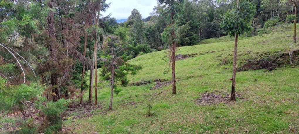 Lote en venta en Santa Elena, El Retiro, 10000 m² · foto 15 de 16