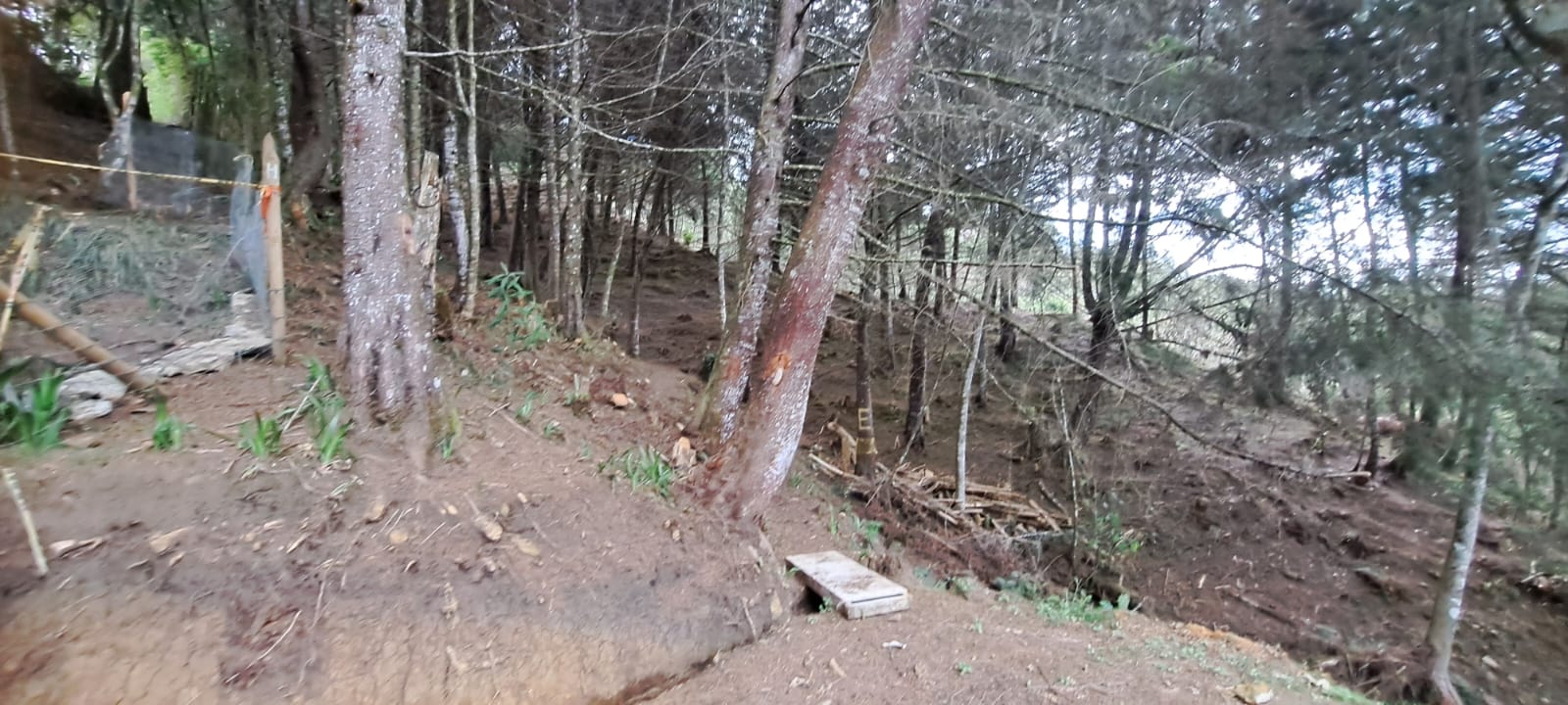 Land in Los salados for Sale