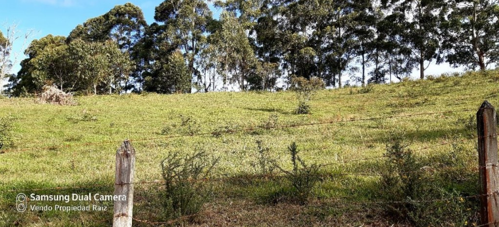 Lote en venta en Cabeceras De Llanogrande, Rionegro, 28422 m² · foto 2 de 11