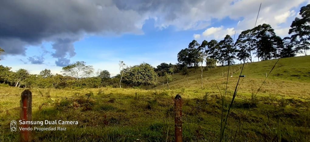 Lote en venta en Cabeceras De Llanogrande, Rionegro, 28422 m² · foto 4 de 11